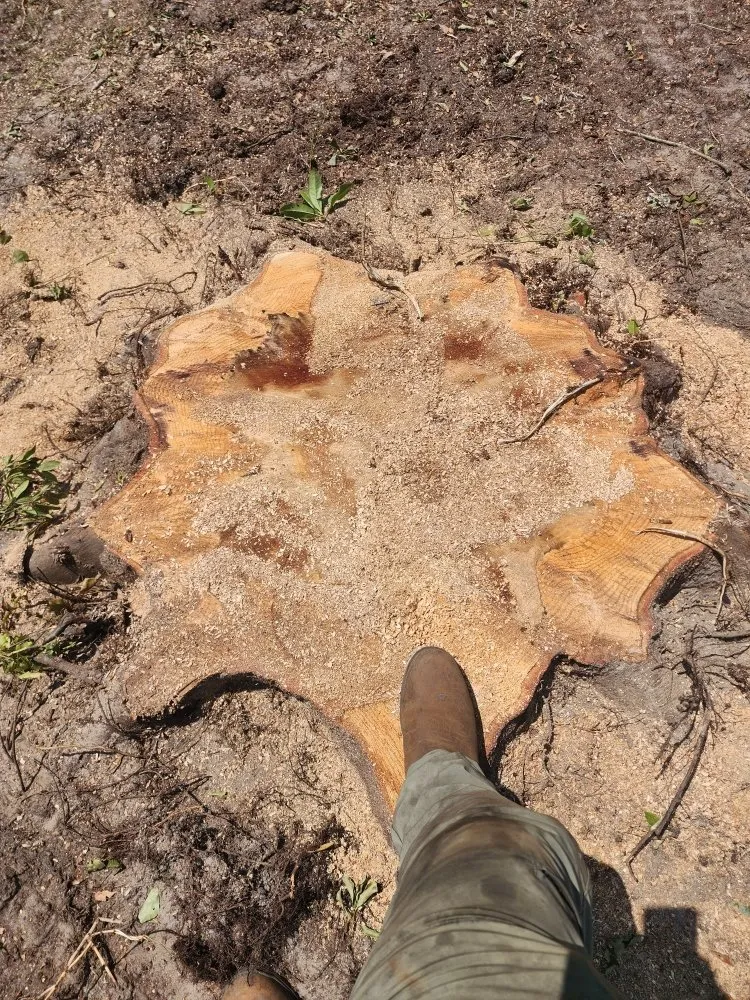 Trusted landscaping services in Hampstead, NC - The Yard Guys Of Hampstead