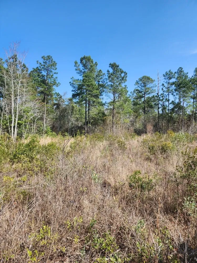 Custom landscape design in Hampstead, NC - The Yard Guys Of Hampstead