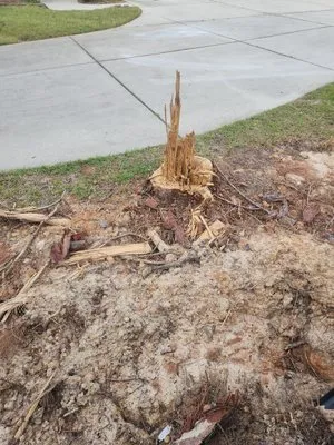 The Yard Guys Of Hampstead