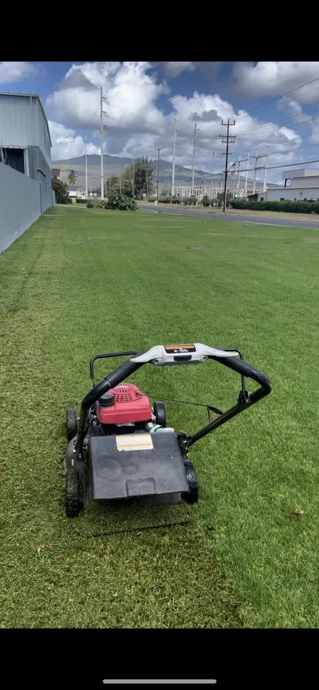 Custom landscape design in Pearl City, HI - The Yard Guys