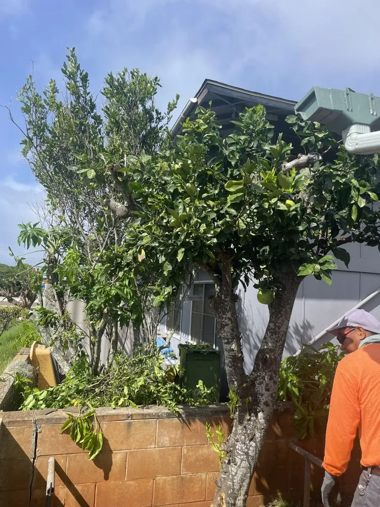 Top-rated outdoor landscaping with custom design across Pearl City, HI - The Yard Guys