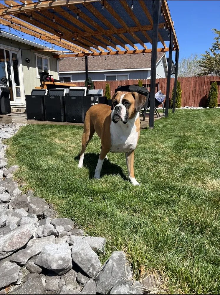 Custom lawn care service for outdoor upgrades in Reno, NV by The Yard Guys