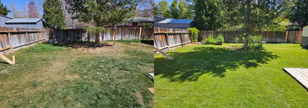 Trusted residential landscaping in Reno, NV by The Yard Guys