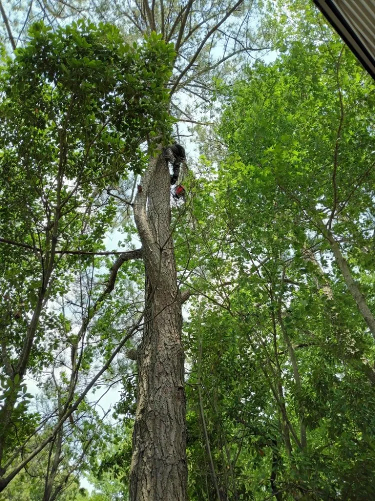 Expert landscape design in Suffolk, VA by The Yard Guys