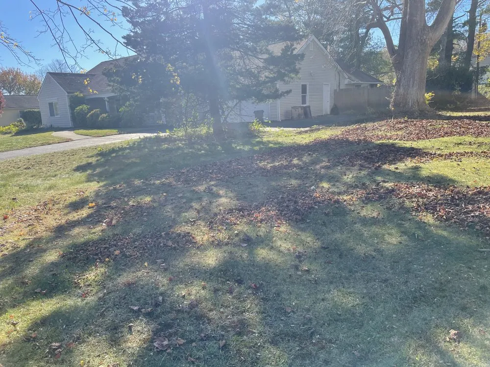 Expert landscaping services for beautiful yards across Medford, NY - The Yard Guys We Work Hard In Your Yard