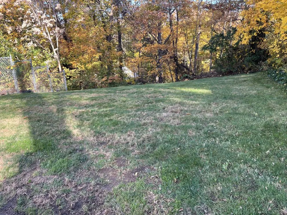 Top-rated landscape installation for year-round maintenance across Medford, NY - The Yard Guys We Work Hard In Your Yard