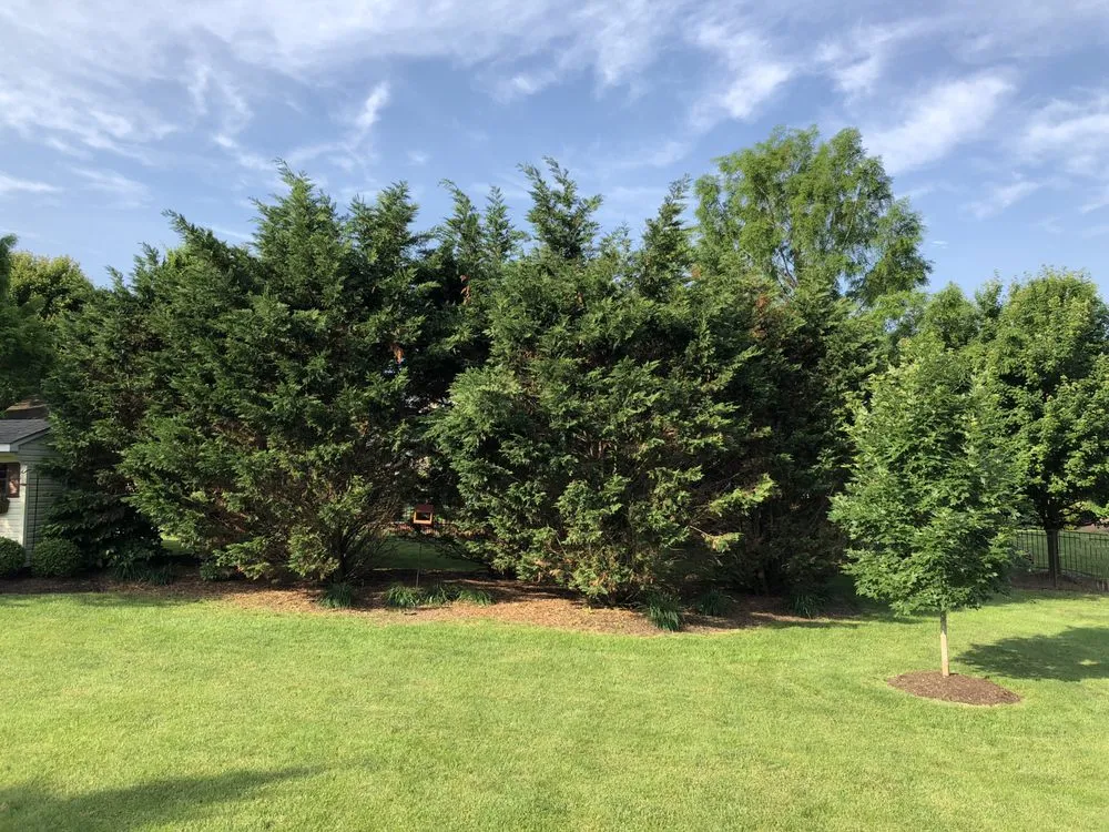 Local yard cleanup service with custom design in Ivyland, PA by The Yard Keeper
