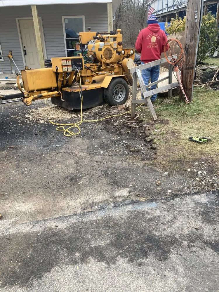 Top-rated landscape installation experts serving Ivyland, PA - The Yard Keeper
