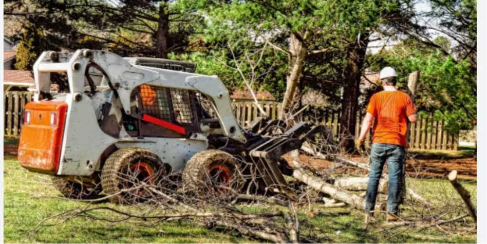 Professional yard cleanup service in Ivyland, PA by The Yard Keeper