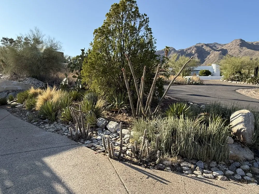 Top-rated landscape installation with custom design in Tucson, AZ by The Yard Landscaping