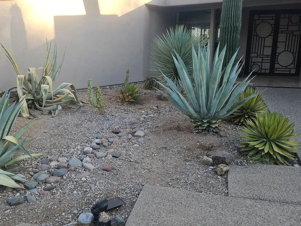 Local lawn mowing service in Tucson, AZ - The Yard Landscaping