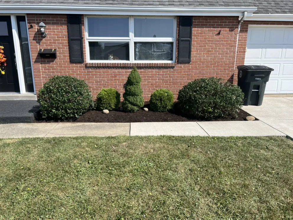 Professional lawn mowing service near you in Steubenville, OH by The Yard Lawn and Landscape