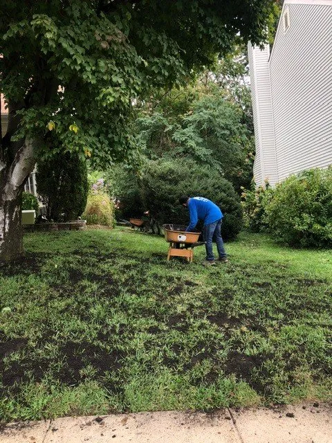 Reliable residential landscaping for beautiful yards in Alexandria, VA by The Yard Man Lawn Service