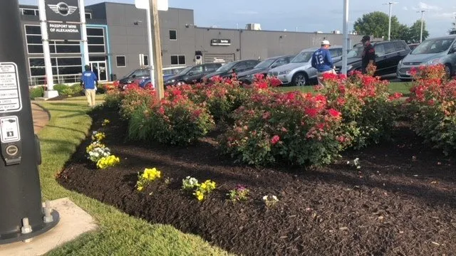 Top-rated lawn care service for year-round maintenance in Alexandria, VA by The Yard Man Lawn Service