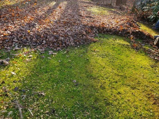 Custom landscape installation for outdoor upgrades in Alexandria, VA by The Yard Man Lawn Service