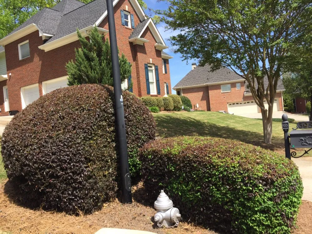 Custom yard maintenance in Loganville, GA by The Yard Man