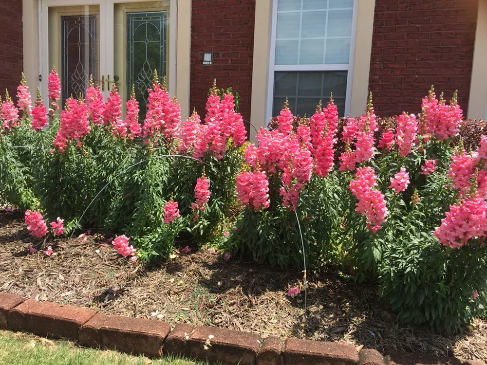 Local lawn mowing service for outdoor upgrades in Loganville, GA by The Yard Man