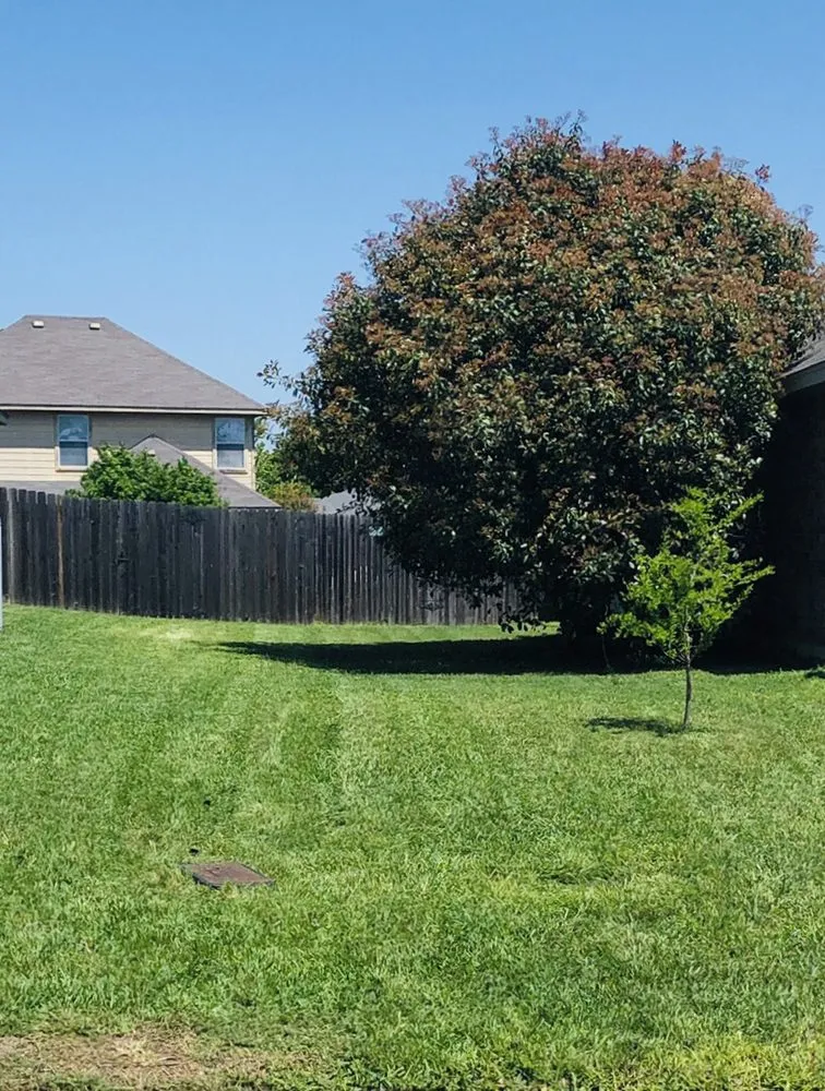 Trusted lawn mowing service in Temple, TX - The Yard Man