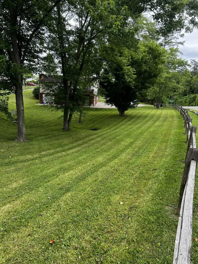 Trusted landscaping services in Catlettsburg, KY - The Yard Nurses