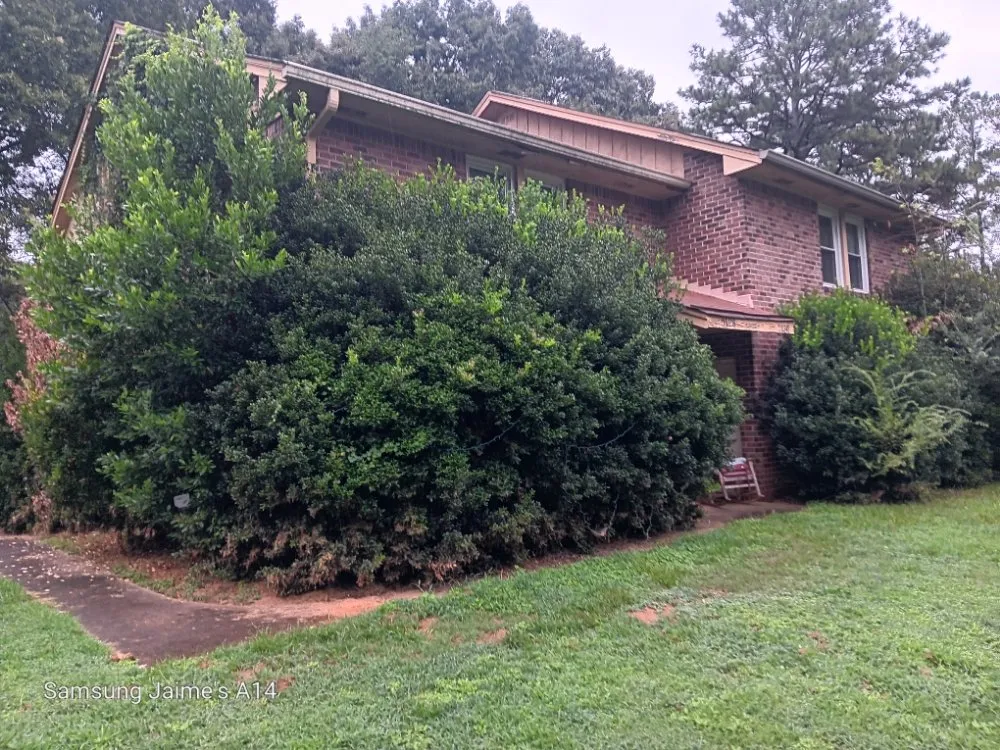 Expert lawn mowing service in Powder Springs, GA - The Yard O Rican