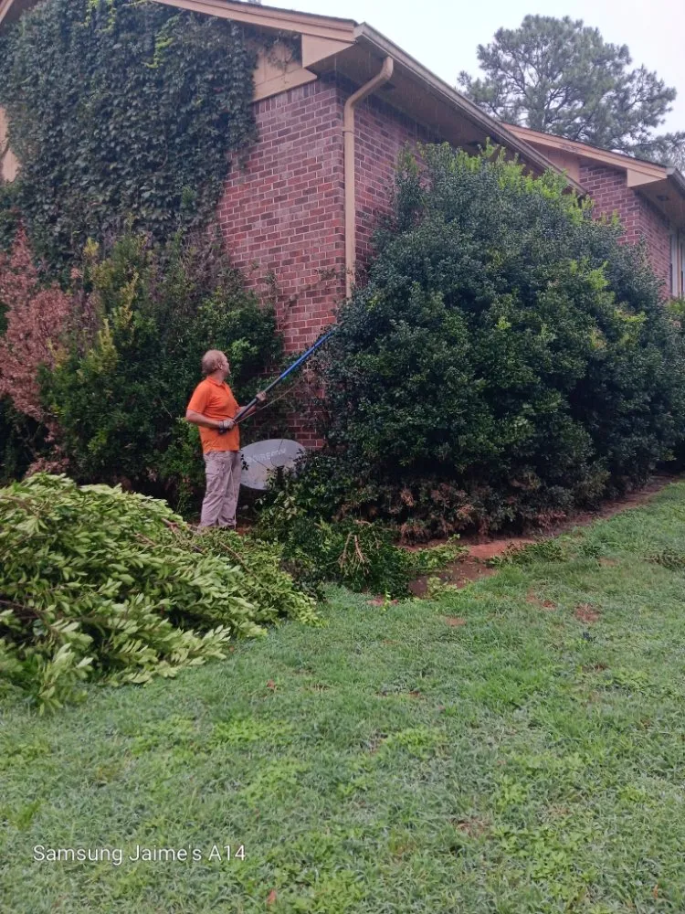 Professional landscape installation experts serving Powder Springs, GA - The Yard O Rican