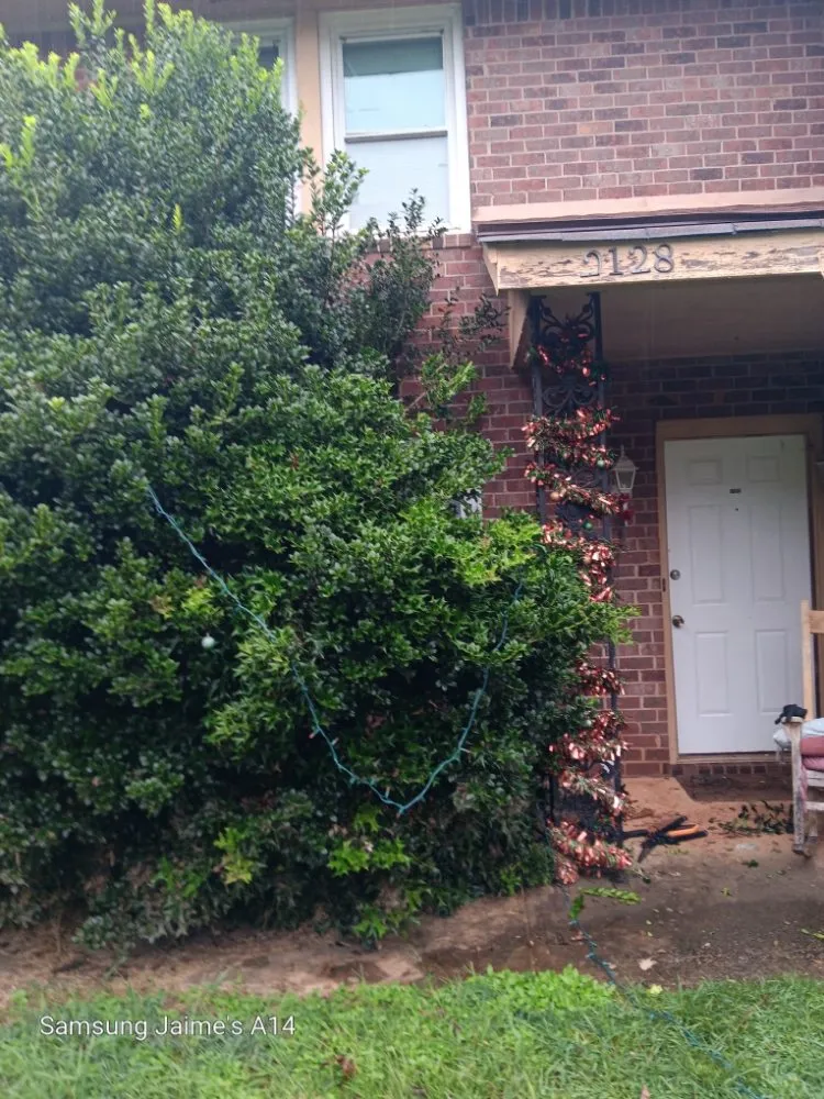 Reliable garden landscaping experts serving Powder Springs, GA - The Yard O Rican