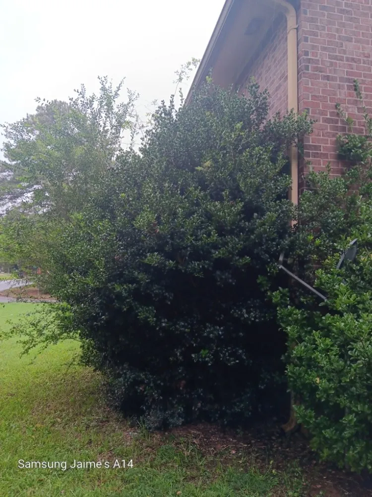 Trusted garden landscaping for outdoor upgrades in Powder Springs, GA by The Yard O Rican