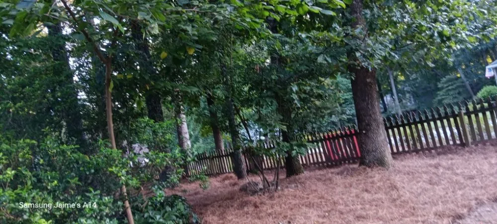 Trusted landscape design for homes across Powder Springs, GA - The Yard O Rican