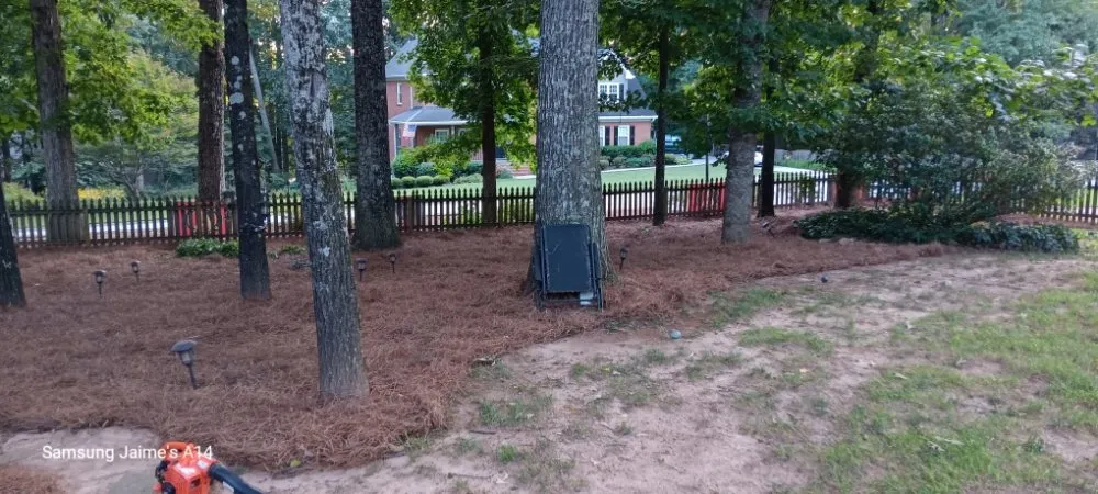 Affordable lawn care service with custom design across Powder Springs, GA - The Yard O Rican