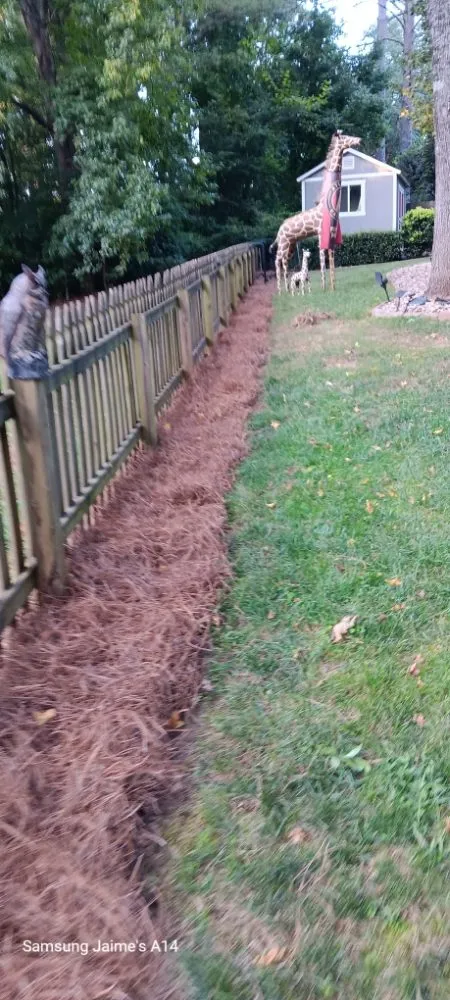 Trusted yard maintenance in Powder Springs, GA by The Yard O Rican