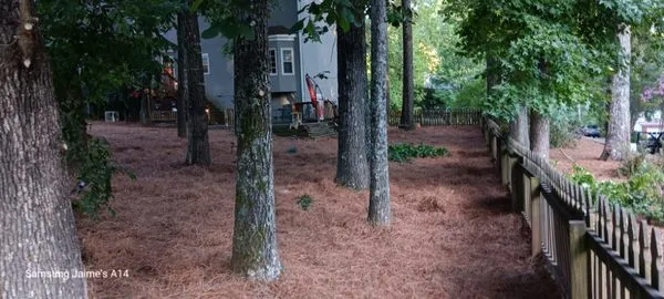 The Yard O Rican Logo