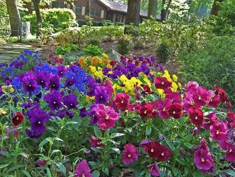 Expert lawn mowing service in Roswell, GA - The Yard Post Landscaping