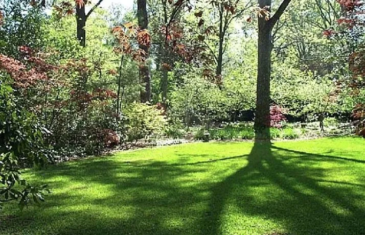 Affordable outdoor landscaping in Roswell, GA by The Yard Post Landscaping