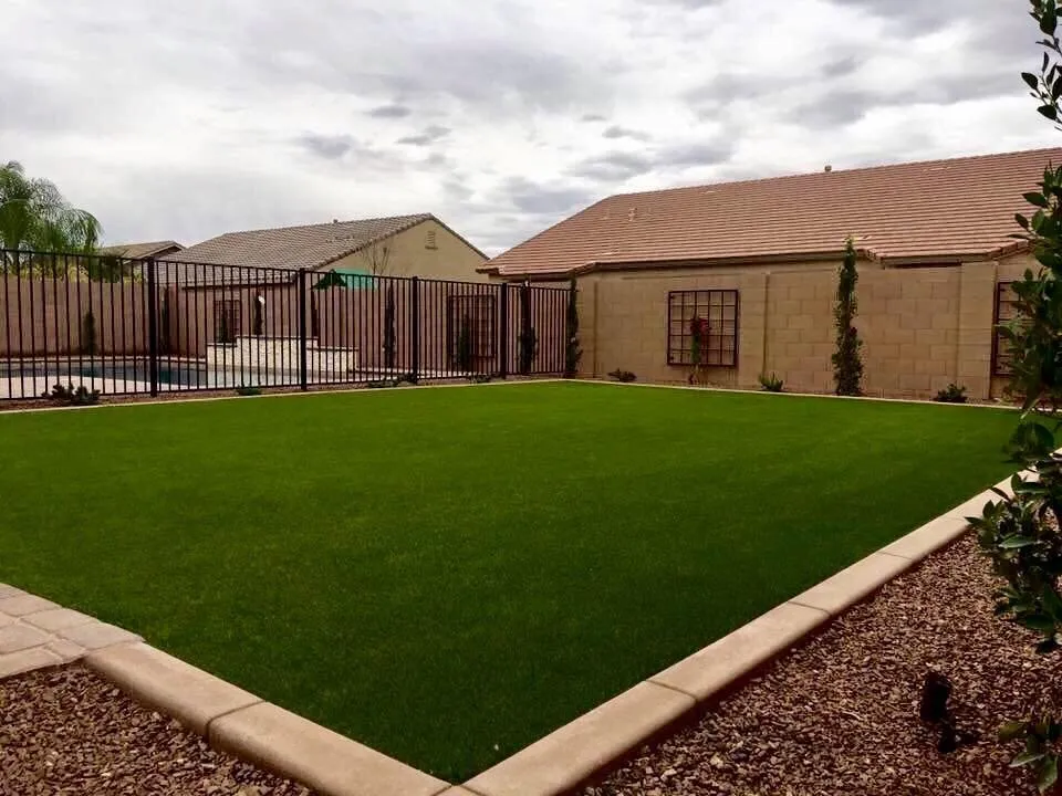 Expert yard cleanup service for beautiful yards across Gilbert, AZ - The Yard Stylist