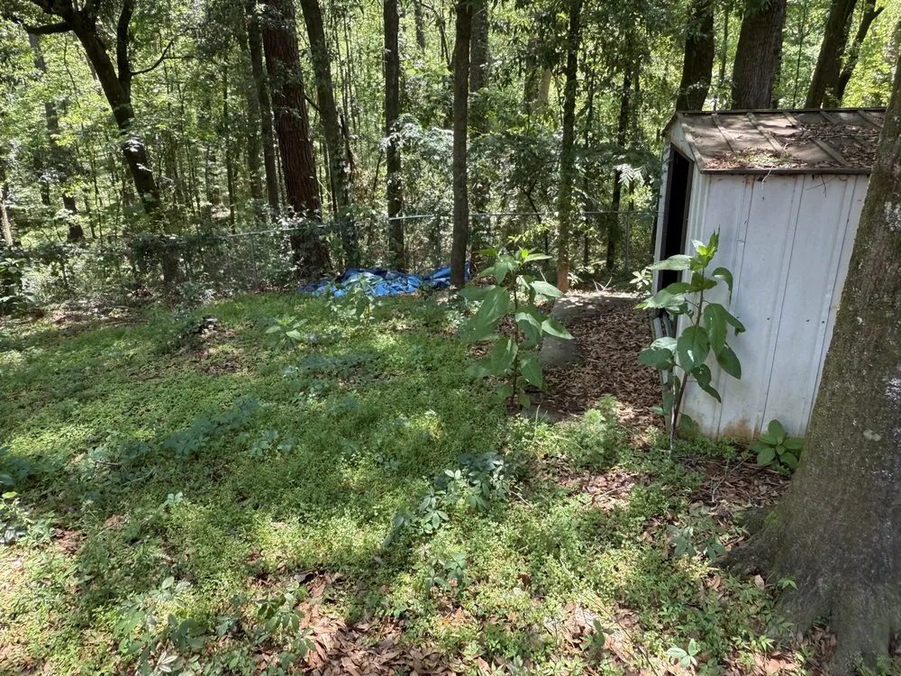 Custom garden landscaping experts serving Elmore, AL - The Yard Surgeons