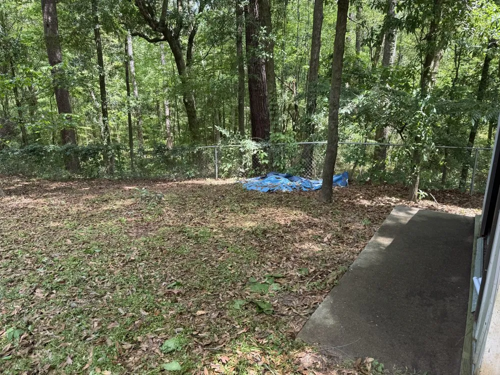 Custom outdoor landscaping in Elmore, AL by The Yard Surgeons