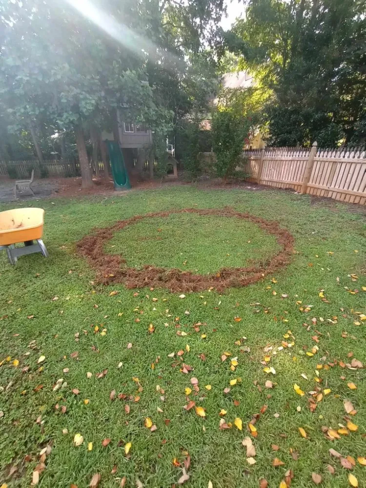 Professional outdoor landscaping for year-round maintenance across Benson, NC - The Yard Transformers