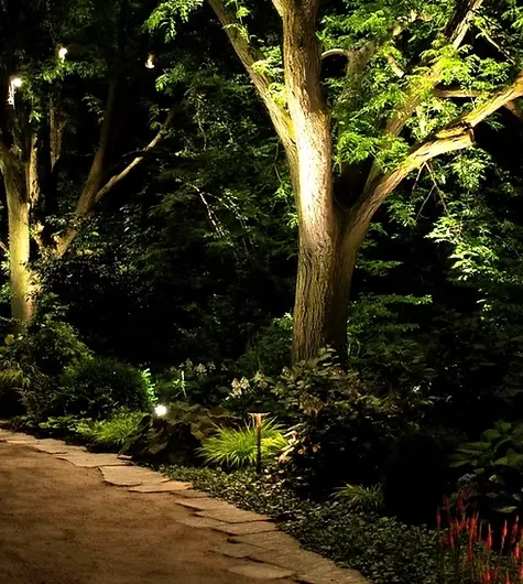 Trusted lawn care service for outdoor upgrades in Westminster, CO by The Yard