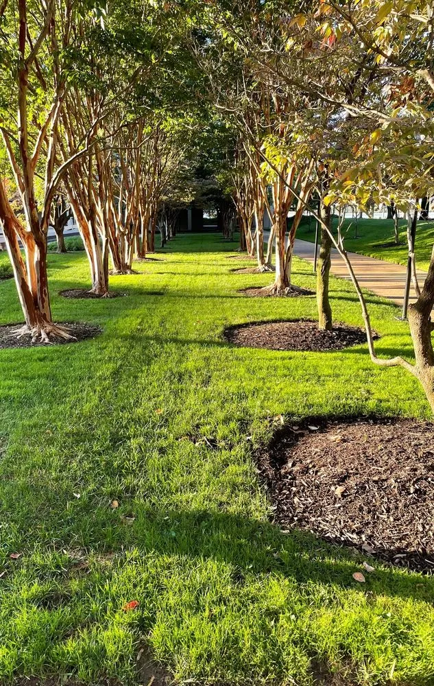 Trusted yard maintenance with custom design across Westminster, CO - The Yard