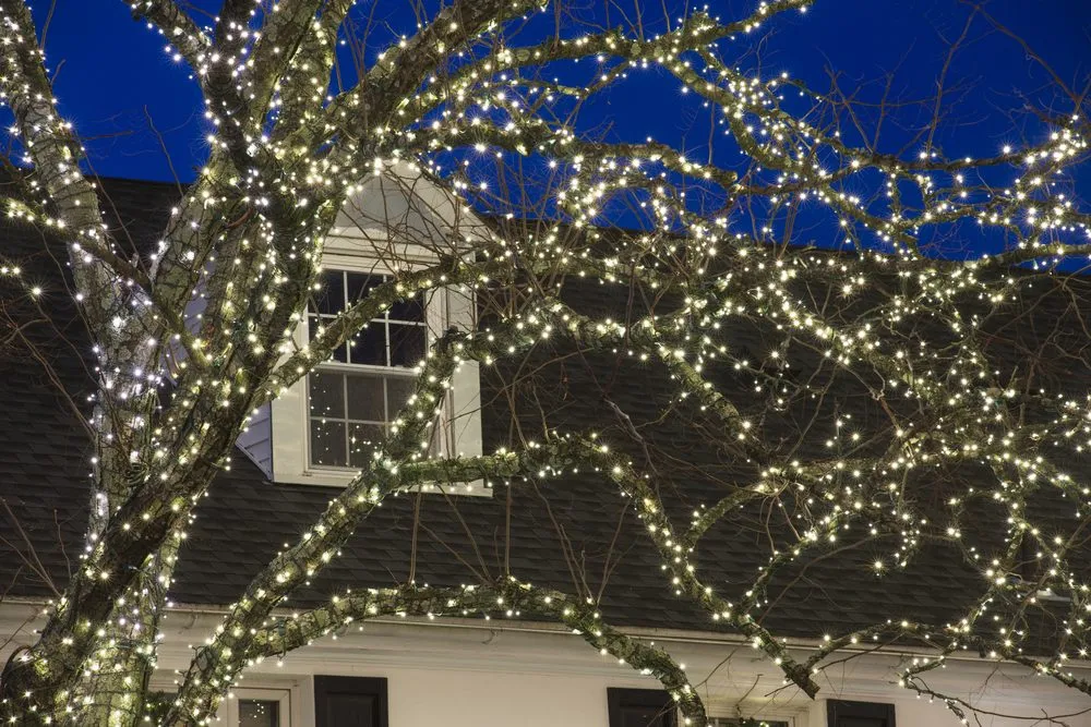 Professional landscape installation in Westminster, CO by The Yard