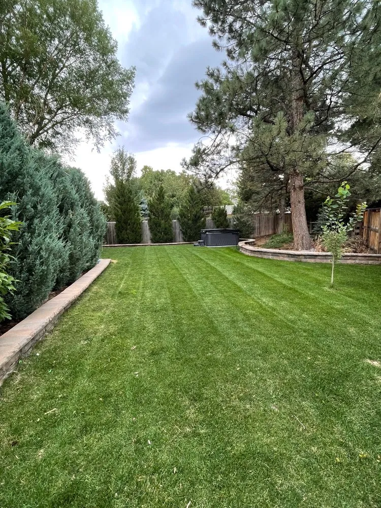 Reliable yard maintenance for homes in Westminster, CO by The Yard