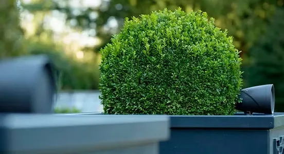 Reliable lawn mowing service in Westminster, CO - The Yard