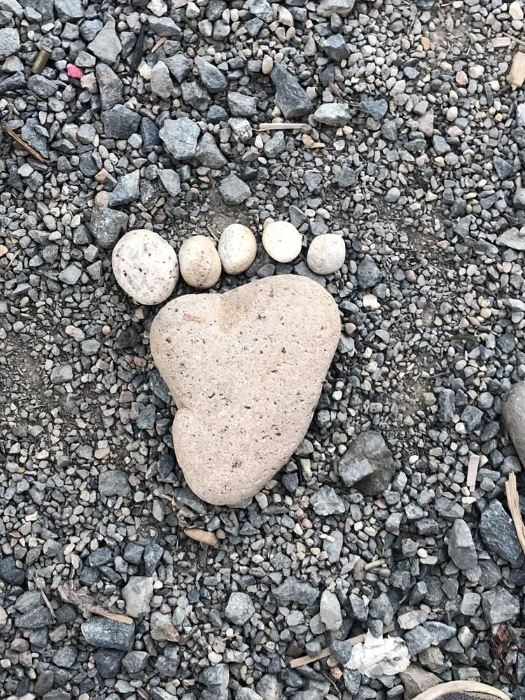 Professional yard cleanup service with custom design across Baker City, OR - The Yardist