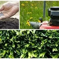 Local residential landscaping in Wake Forest, NC - The Yardists Lawn and Landscaping