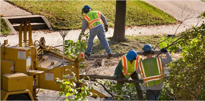 Reliable garden landscaping for beautiful yards in Odessa, TX by The Young Pro Tree Services