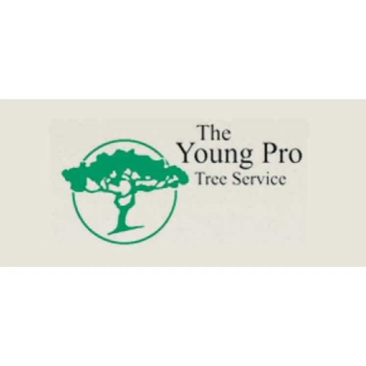 Affordable outdoor landscaping experts serving Odessa, TX - The Young Pro Tree Services
