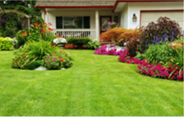 Trusted yard maintenance for beautiful yards across Odessa, TX - The Young Pro Tree Services