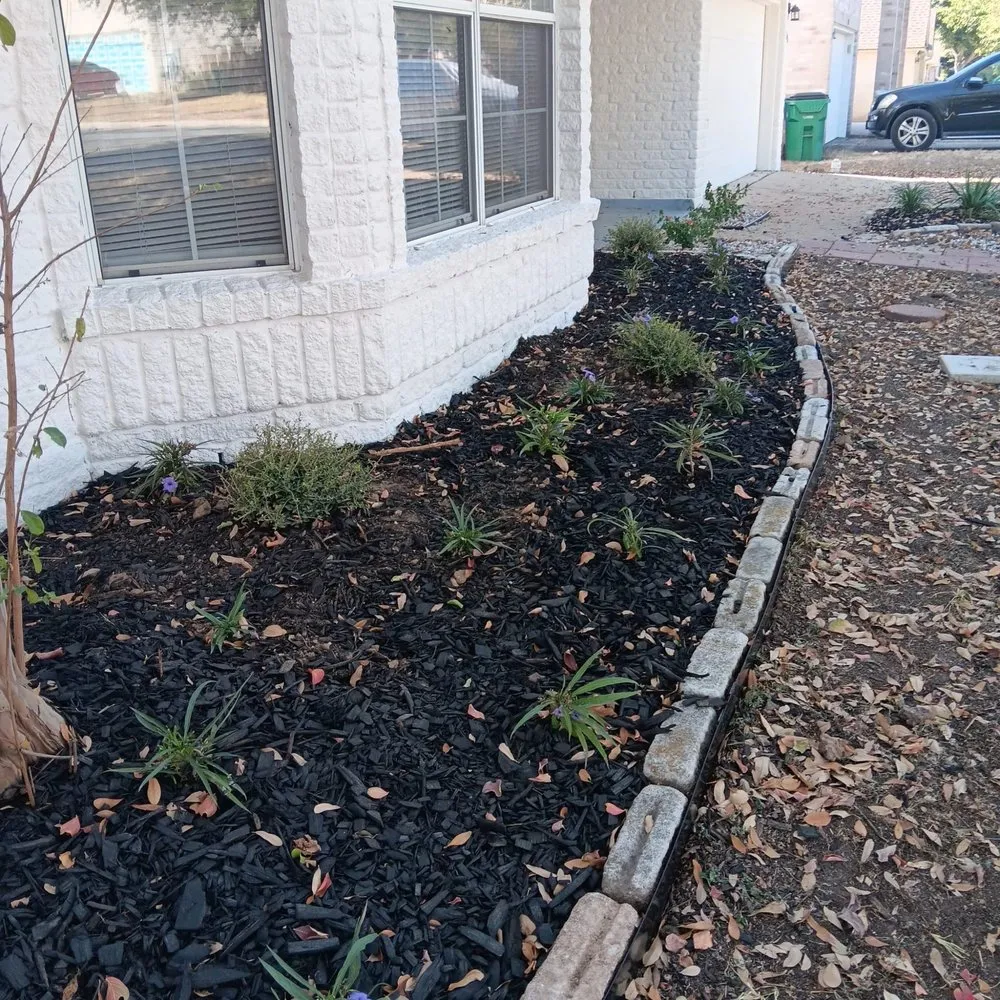 Expert yard maintenance near you in Cedar Park, TX by The Zon Group