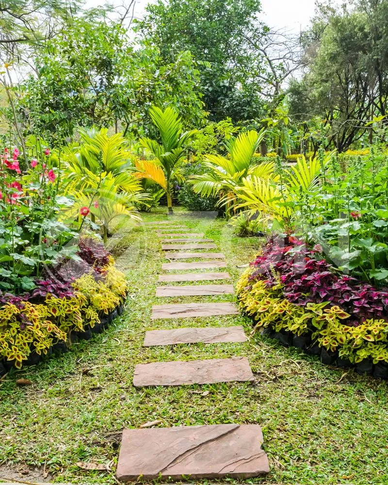 Reliable yard cleanup service experts serving Cedar Park, TX - The Zon Group