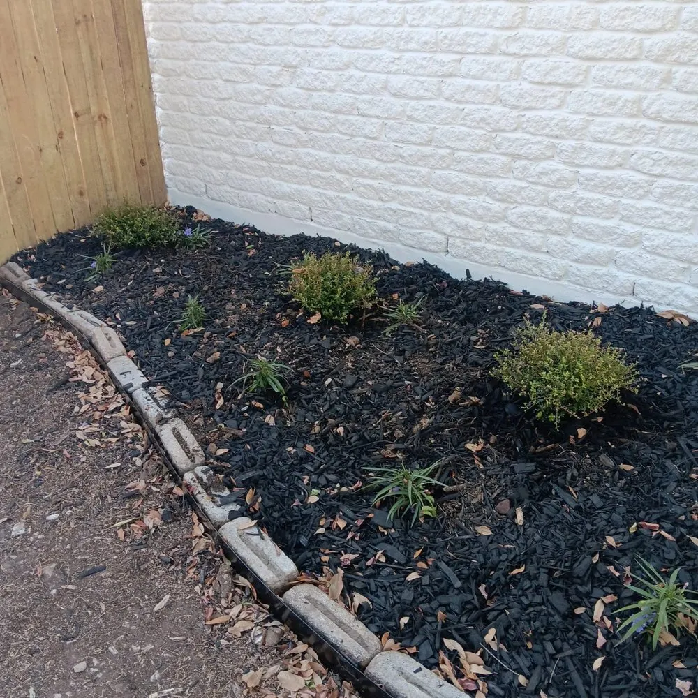 Top-rated yard maintenance experts serving Cedar Park, TX - The Zon Group